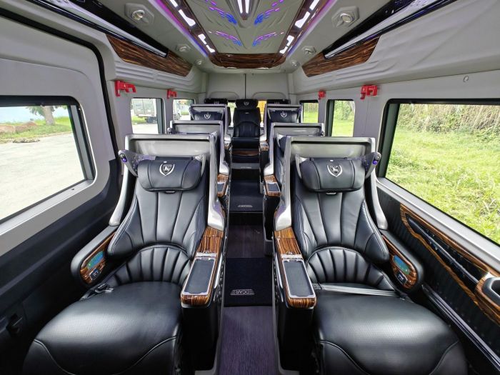 Nội thất xe Limounsine 9 chỗ đi Long Hải