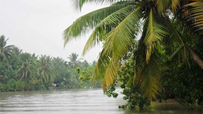 Chèo thuyền ngắm cảnh tại địa điểm du lịch Bến Tre này(Ảnh: ST) Chèo thuyền ngắm cảnh tại địa điểm du lịch Bến Tre này(Ảnh: ST)